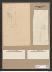Navicula lesinensis Grun. (de-Toni-Nr.: Genus 1) Zeichnungen Sammlung Grunow Nr. 1348 (NHMW-BOT-W0368286)